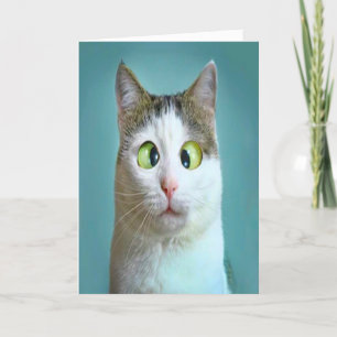可愛いおもしろい猫熱狂する誕生日カード シーズンカード