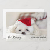 可愛いおもしろい白犬クリスマスバフンバグ シーズンカード (正面/裏面)