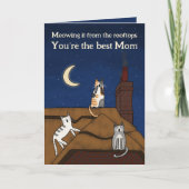 可愛いお洒落猫が鳴る屋上ママの日 カード (正面)