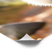 可愛いかわいいスタイルレーコンがコーンを保持 ポスター (コーナー)