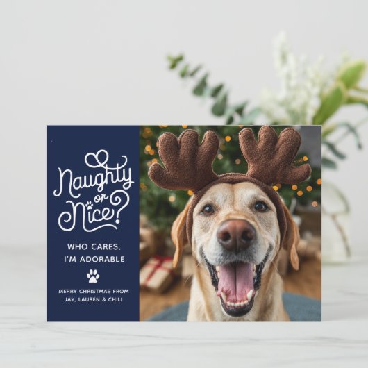 可愛いけないおもしろい愛犬の猫写真 シーズンカード (スタンド正面)