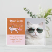 可愛いけない猫フォトツートーン一覧 シーズンカード (スタンド正面)