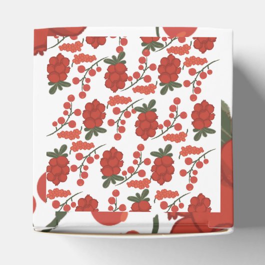 可愛いさくらんぼお願い箱 フェイバーボックス (上部)