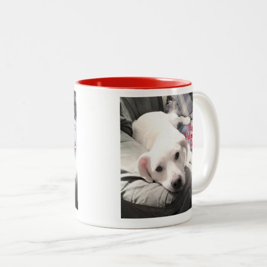 可愛いすごい子犬と永遠に赤を愛する写真 ツートーンマグカップ (正面右)