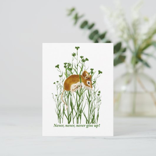 可愛いやる気を起こさせる引用文が与えない ポストカード (スタンド正面)