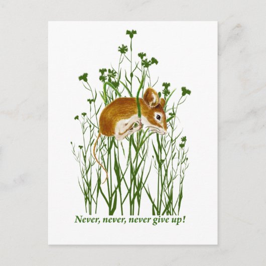 可愛いやる気を起こさせる引用文が与えない ポストカード (正面)