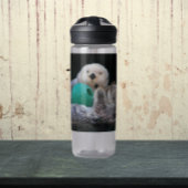 可愛いよくはしゃぐ海のカワウソ写真 ウォーターボトル