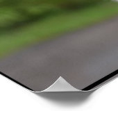 可愛いアイリッシュウルフハウンド ポスター (角)