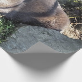 可愛いアジアのオッター ラッピングペーパー (角)