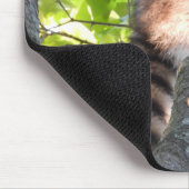 可愛いアライグマの木に マウスパッド (コーナー)