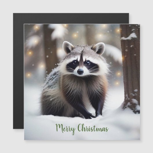 可愛いアライグマ磁気カード (正面/裏面)