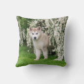 可愛いアラスカンマラムートドッグパピー花写真 クッション (裏面)