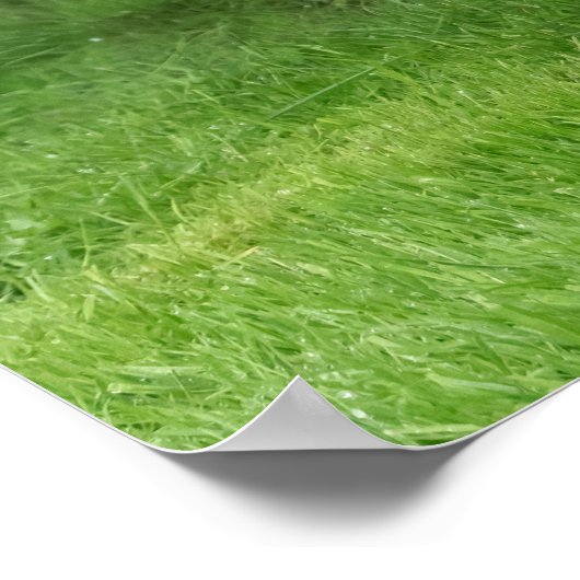 可愛いアラスカンマラムートドッグパピー花写真 – ポスター (角)