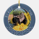 可愛いアラペットオウム写真スターブルークリスマス セラミックオーナメント (裏面)