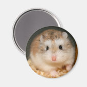 可愛いイックル磁石 マグネット (正面/裏面)