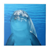 可愛いイルカの海 タイル (正面)