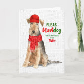 可愛いウェールズ人のクリスマスから シーズンカード (正面)