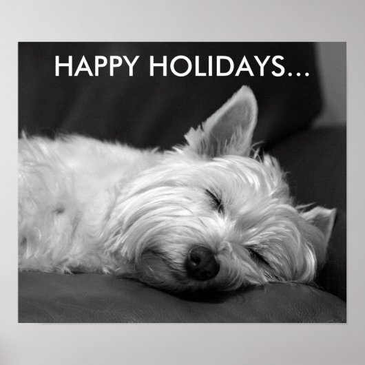 可愛いウエストハイランドテリア犬ポスター ポスター (正面)