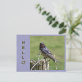 可愛いウォッチングバーンドローグザ。HELLOポストカード ポストカード (スタンド正面)