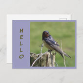 可愛いウォッチングバーンドローグザ。HELLOポストカード ポストカード (正面/裏面)