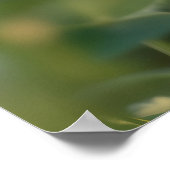 可愛いウサギと緑の野のラディバグ ポスター (角)