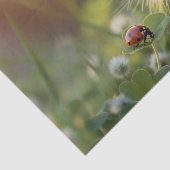 可愛いウサギと緑の野のラディバグ 薄葉紙 (詳細)