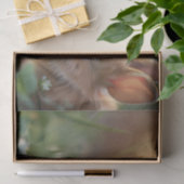 可愛いウサギと緑の野のラディバグ 薄葉紙 (ギフト)