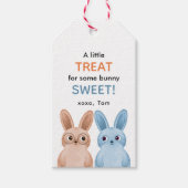 可愛いウサギのバニーに少しトリートメント ギフトタグ (正面)