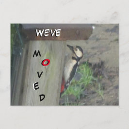 可愛いウッドペッカーオンネストボックス引っ越しましたはがき ポストカード