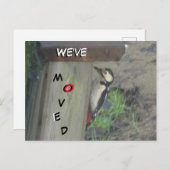 可愛いウッドペッカーオンネストボックス引っ越しましたはがき ポストカード (正面/裏面)