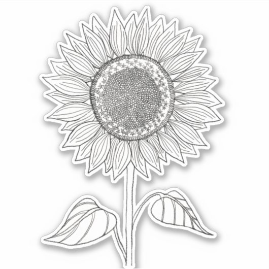 可愛いエレガントボホブラックペンシルひまわり シール (正面)