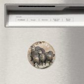 可愛いオッターファミリー |カドル時間 マグネット (インサイチュ (食洗機))