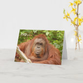 可愛いオランウータン誕生日グリーティングカード カード (黄色い花)
