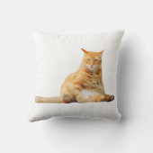 可愛いオレンジ猫の柔らかい枕 クッション (裏面)
