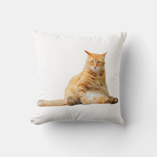 可愛いオレンジ猫の柔らかい枕 クッション (正面)