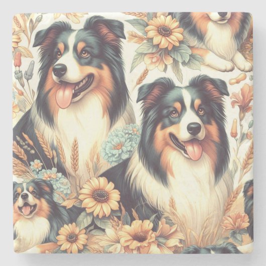 可愛いオーストラリアのシェパード絵画ヴィンテージ ストーンコースター (正面)