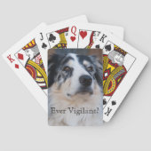 可愛いオーストラリアの羊飼いテンプレート写真 トランプ (裏面)