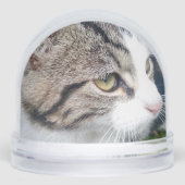 可愛いカスタムペット写真のクリスマススノーグローブ (正面)