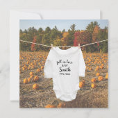 可愛いカボチャ秋イン恋の秋の写真妊娠 案内状 (正面)