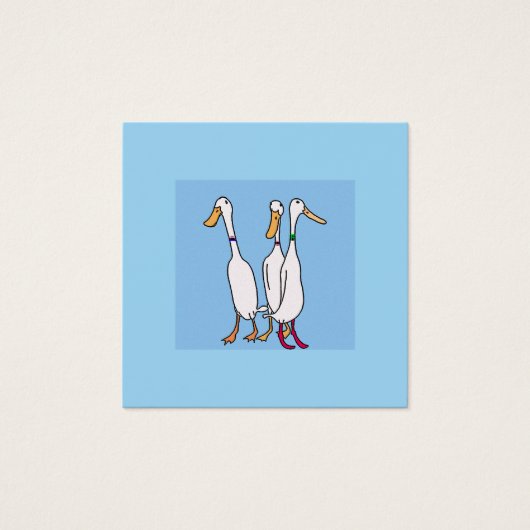 可愛いカモ (正面)