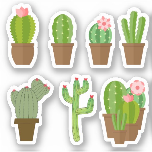 可愛いカラフル緑ピンクと赤の開花サボテン シール (正面)