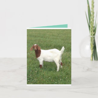 可愛いカードを持って来て カード