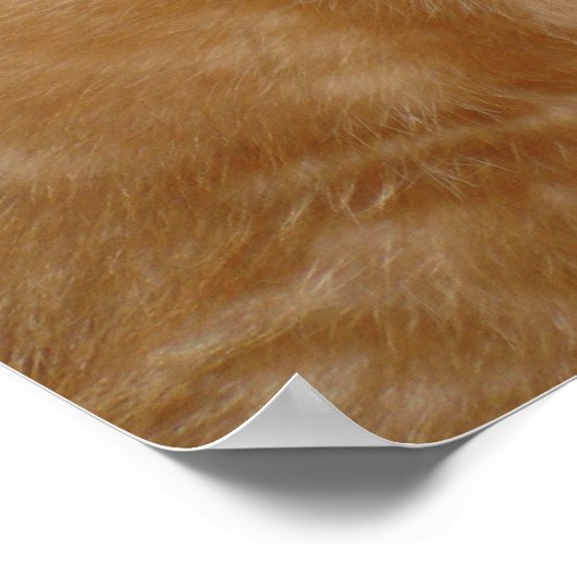 可愛いキット！ ポスター (角)