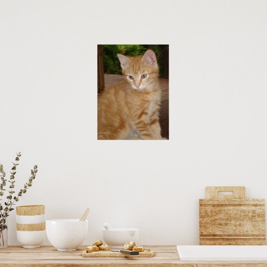 可愛いキット! ポスター (キッチン)