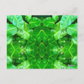 可愛いキリンZebra Tiger Safariの友人ジャングル ポストカード (裏面)