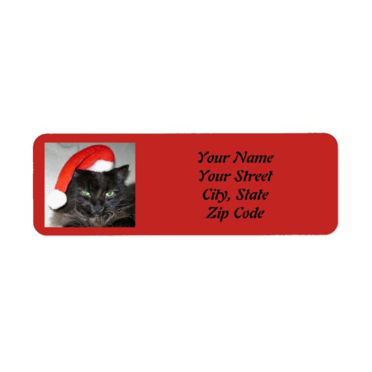 可愛いクリスマスキャットサンタハットの写真 ラベル (正面)