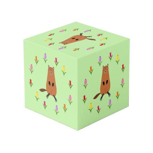 可愛いグラウンドホッグとチューリップ花フォトアップロード フォトキューブ (裏面アングル)