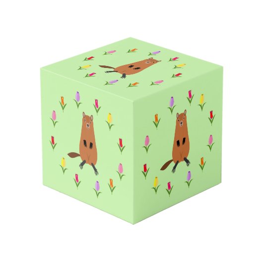 可愛いグラウンドホッグとチューリップ花フォトアップロード フォトキューブ (正面アングル)