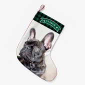 可愛いグリーンプレイドフェスティバルカスタムフォトペットドッグ スモールクリスマスストッキング (正面 (吊り時))