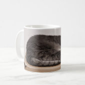 可愛いグレーのタビー猫が寝ているオンボックス コーヒーマグカップ (正面左)